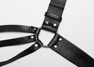 Road Ravager Harness