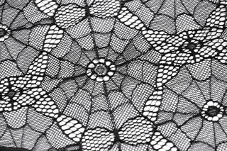 Spiderweb Lace Arm Sleeves