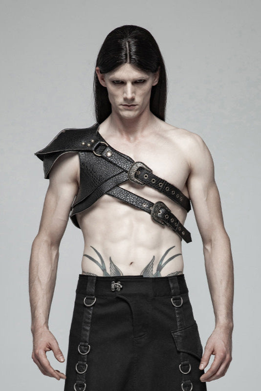punk rave ws-290 harness